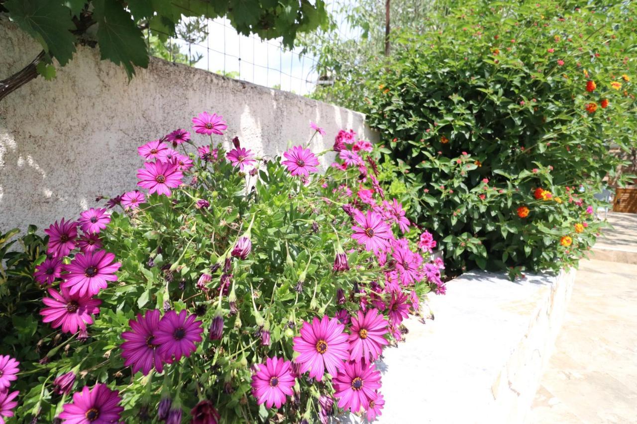 Juli Apartment Ksamil